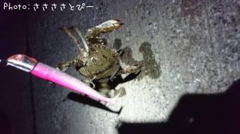 �ޥ������勵�ꥬ��