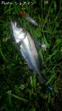 �����Х�