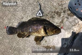 ¥Ù¥Ã¥³¥¦¥¾¥¤