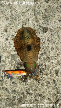 ¥¢¥ª¥ê¥¤¥«