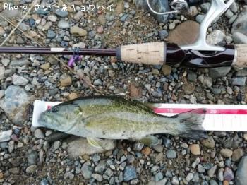 �֥�å��Х�