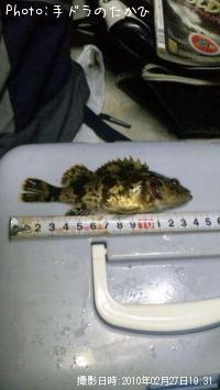 ¥¿¥±¥Î¥³¥á¥Ð¥ë