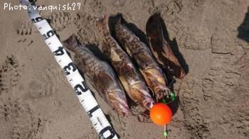 �����ʥ�