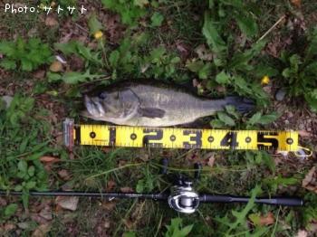 ¥Ö¥é¥Ã¥¯¥Ð¥¹