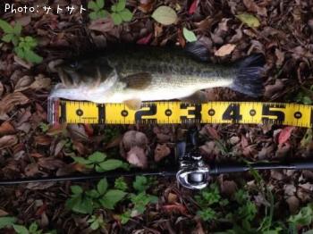 �֥�å��Х�