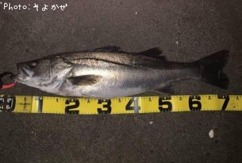 �����Х�