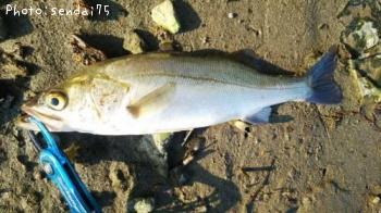 �����Х�