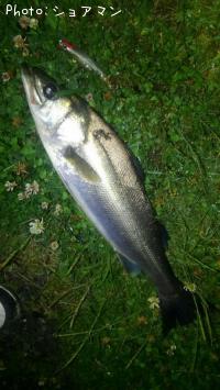 �����Х�