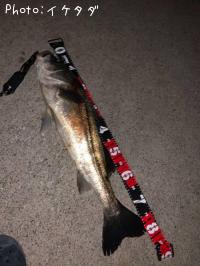 �����Х�