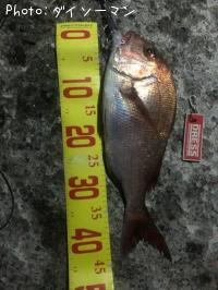 �ޥ���