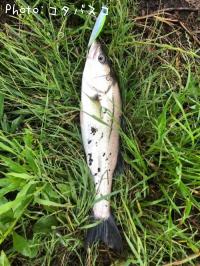 �����Х�