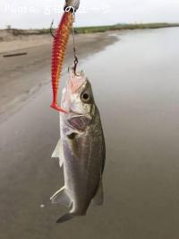 �����Х�