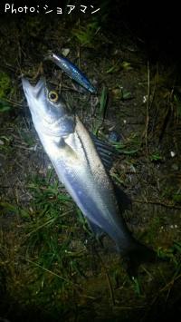 �����Х�