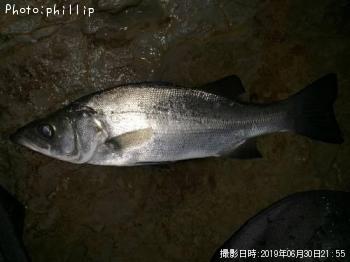 �ҥ饻����