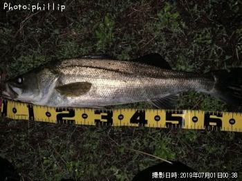 �����Х�