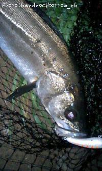 �����Х�