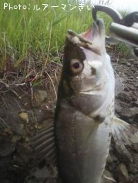 �����Х�