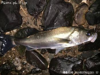 �����Х�