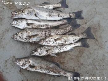 �����Х�