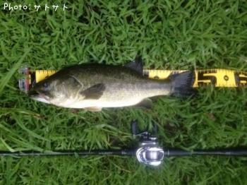 ¥Ö¥é¥Ã¥¯¥Ð¥¹