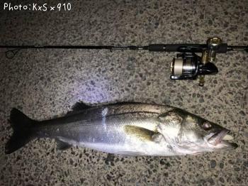 �����Х�