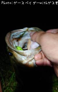 ¥Ö¥é¥Ã¥¯¥Ð¥¹