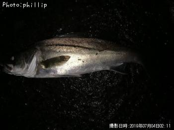 �����Х�