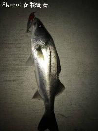 �����Х�