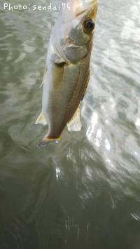 �����Х�