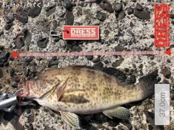 ¥ª¥ª¥â¥ó¥Ï¥¿