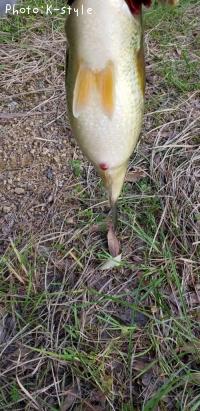 �֥�å��Х�