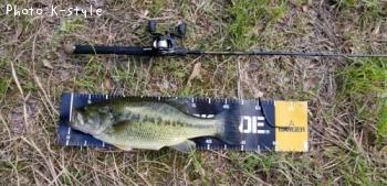 �֥�å��Х�