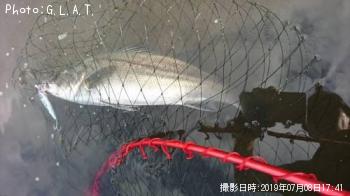 �����Х�