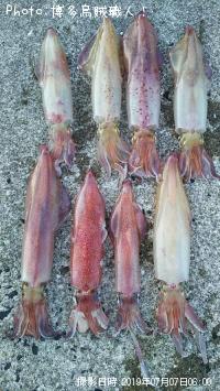 ¥±¥ó¥µ¥¥¤¥«