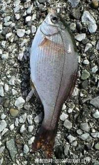 �����ʥ�