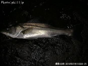 �����Х�