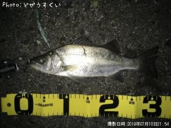 �����Х��ʥҥ饻������