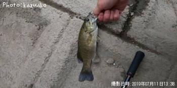 ¥Ö¥é¥Ã¥¯¥Ð¥¹