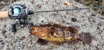 �����Υ���Х�