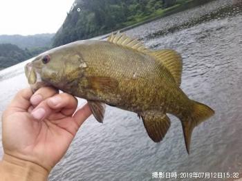 ���⡼��ޥ����Х�