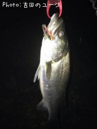 �����Х�