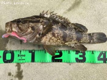 ¥¿¥±¥Î¥³¥á¥Ð¥ë