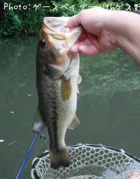 �֥�å��Х�