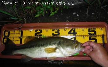 �֥�å��Х�