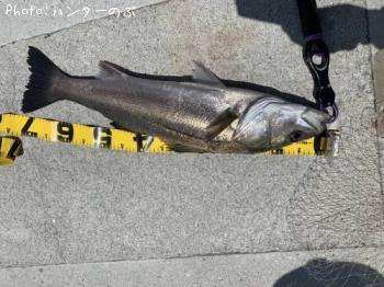 �����Х�