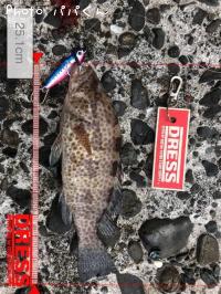 ¥ª¥ª¥â¥ó¥Ï¥¿