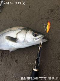 �����Х�