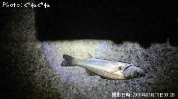 �����Х�