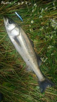 �����Х�