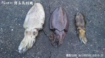 �����ꥤ��